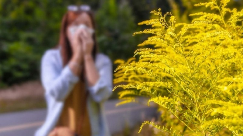 Вдыхание пыльцы связано с обострением боли внизу живота