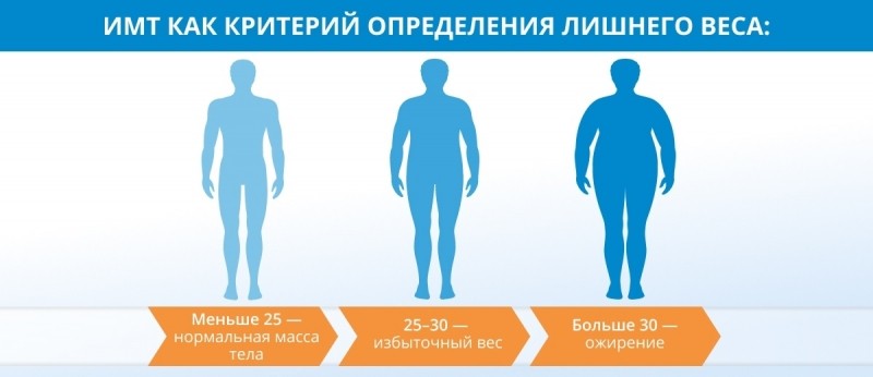 Средства для похудения: типы и особенности подбора