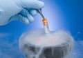 Криоконсервация в репродуктологии: зачем нужна заморозка яйцеклеток, спермы, эмбрионов и сколько стоит процедура?