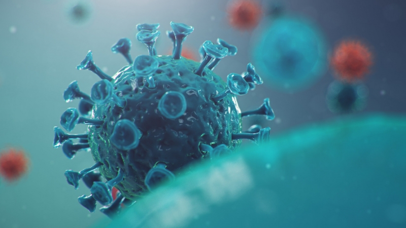 Мутации коронавируса в свете третьей волны пандемии инфекции COVID-19