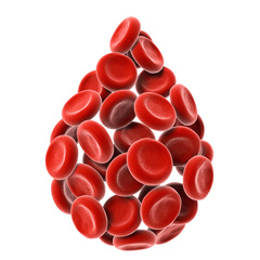 Гемоглобин в крови у мужчин: норма и причины отклонений