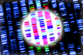 Генетический анализ: читай по… хромосомам