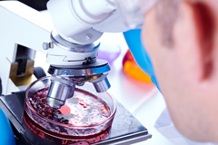 Ключевые методы лабораторной диагностики распространенных инфекций