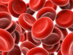 МНО крови: что это за анализ и о чем могут рассказать его результаты