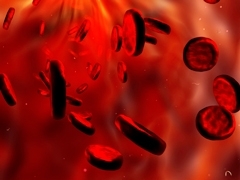 Содержание гемоглобина в крови у женщин: норма и причины отклонений