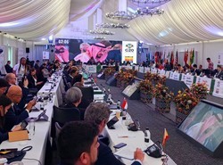 Михаил Мурашко принял участие во встрече министров здравоохранения «Группы двадцати»